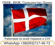Получение и оформление гражданства Дании
