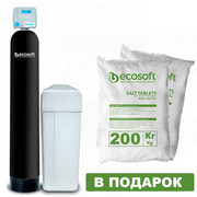 Фильтр обезжелезивания и умягчения воды Ecosoft FK1252CEMIXA