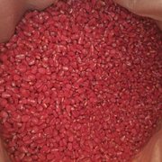 Семена кукурузы,  насіння кукурудзи ТАР-349